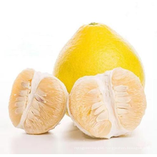 Wholesale High Quality Chinese Fresh Grapefruit Shatian Pomelo